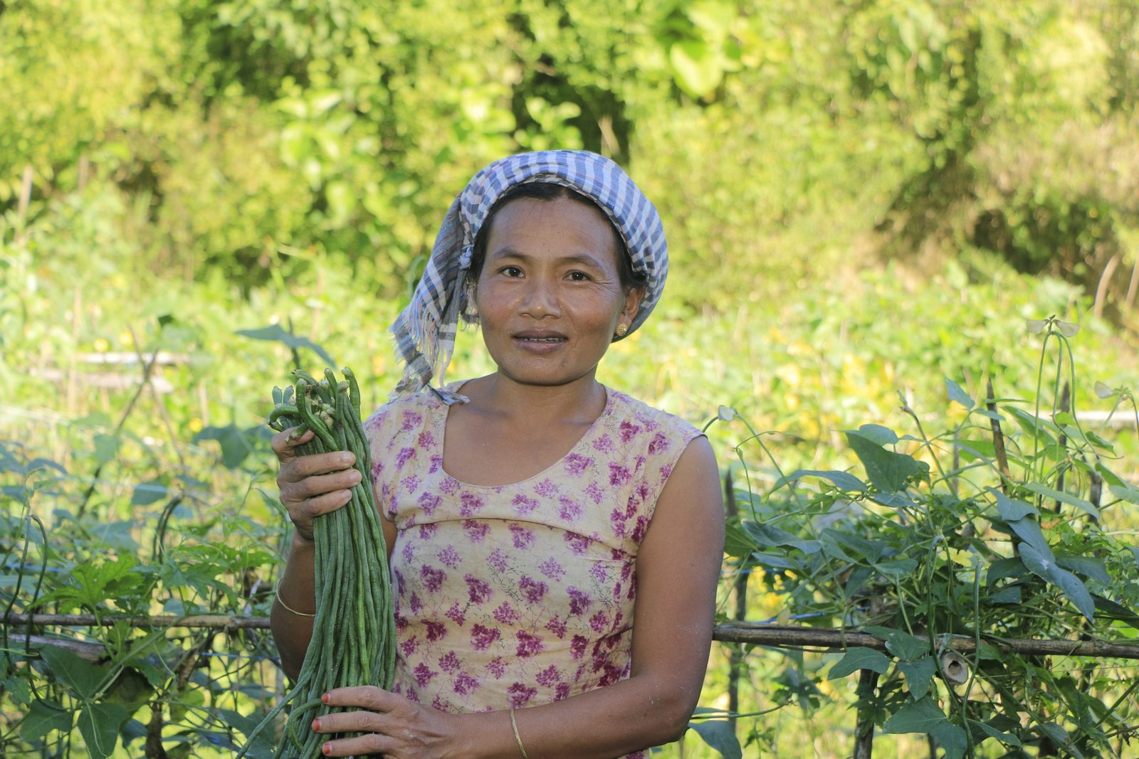 From seeds of hope to fields of abundance