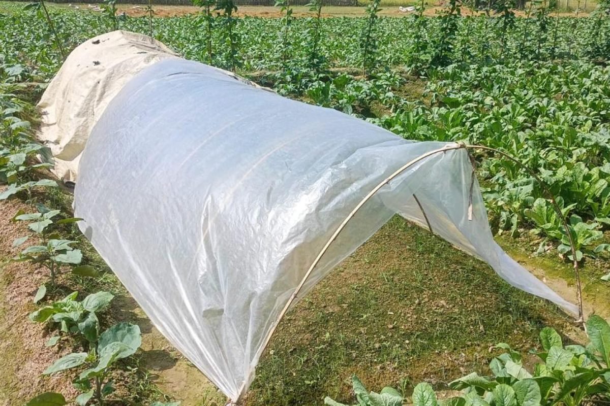 Advance Farming