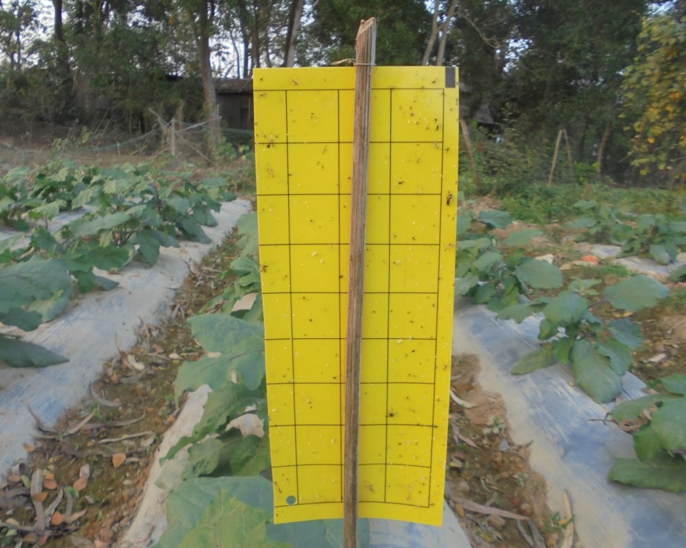 Agri (14)