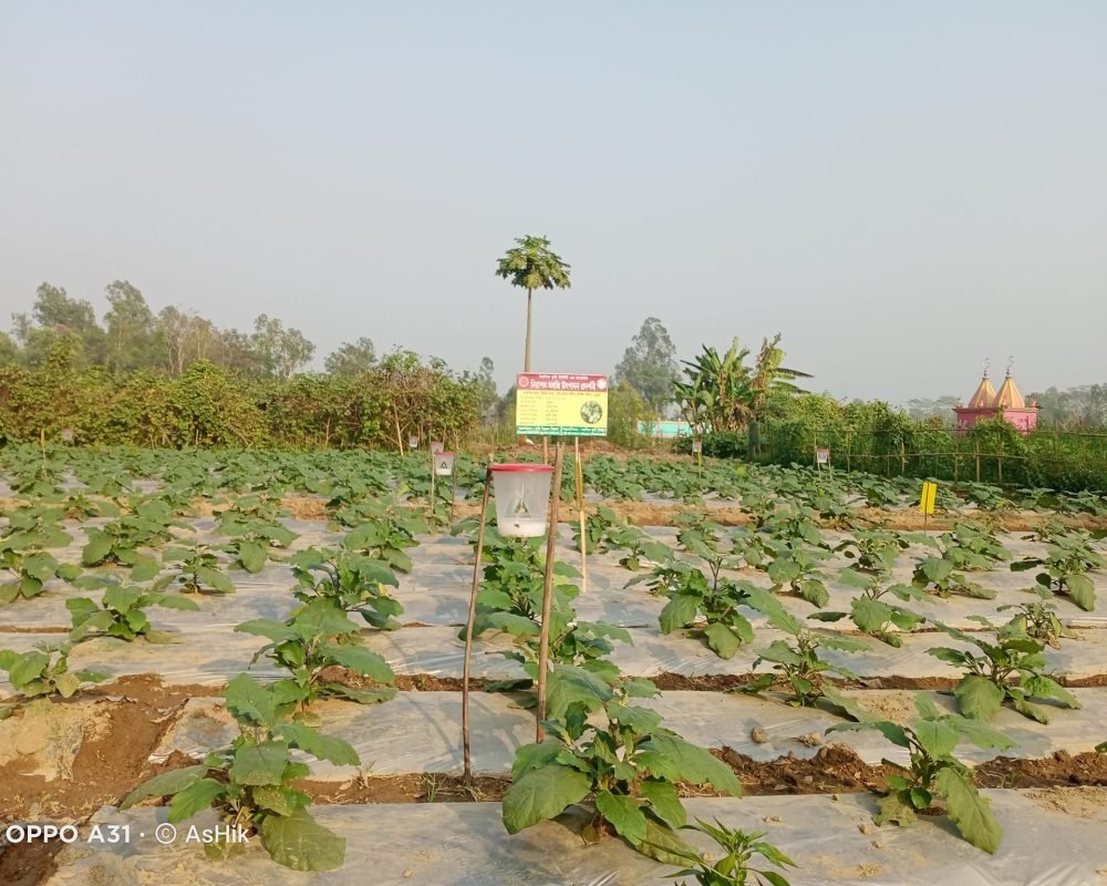 Agri (34)