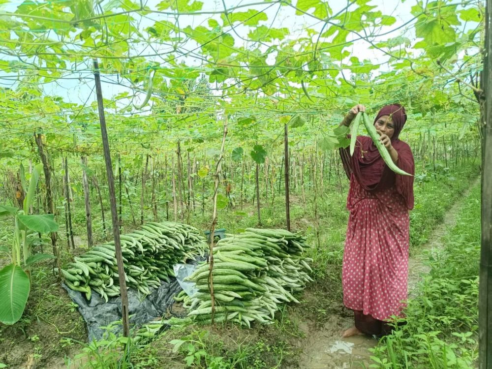 Crop based Finance 1