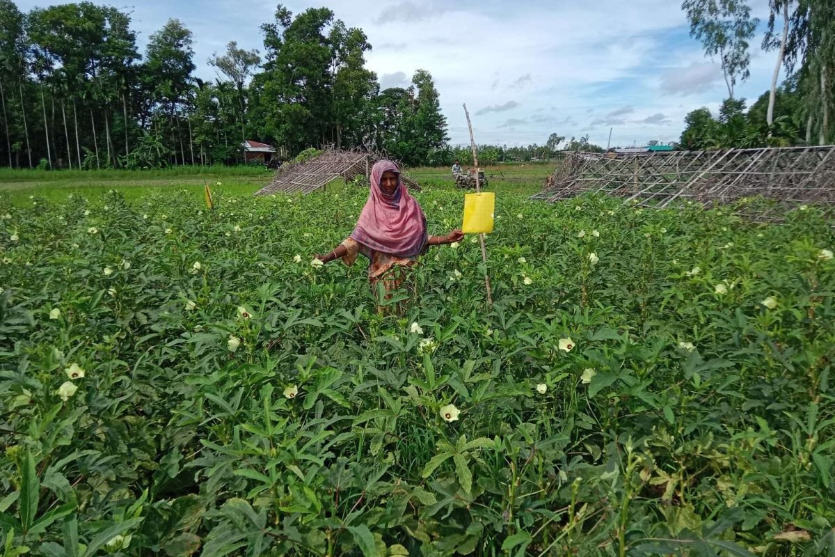 Crop based Finance 3