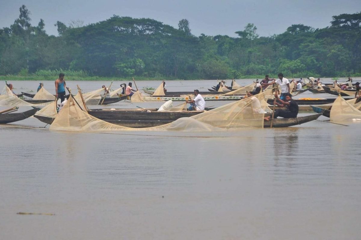 Egg Collection (51)