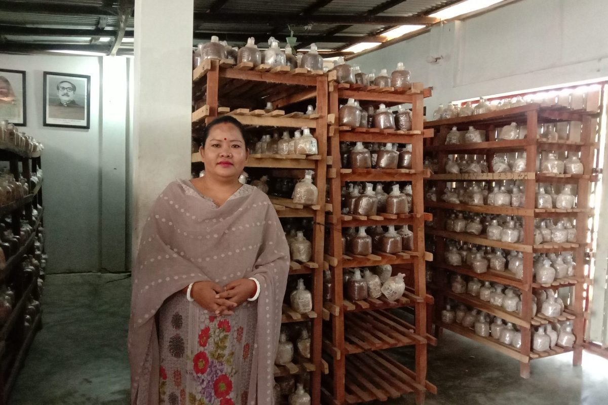 Nipu tripura