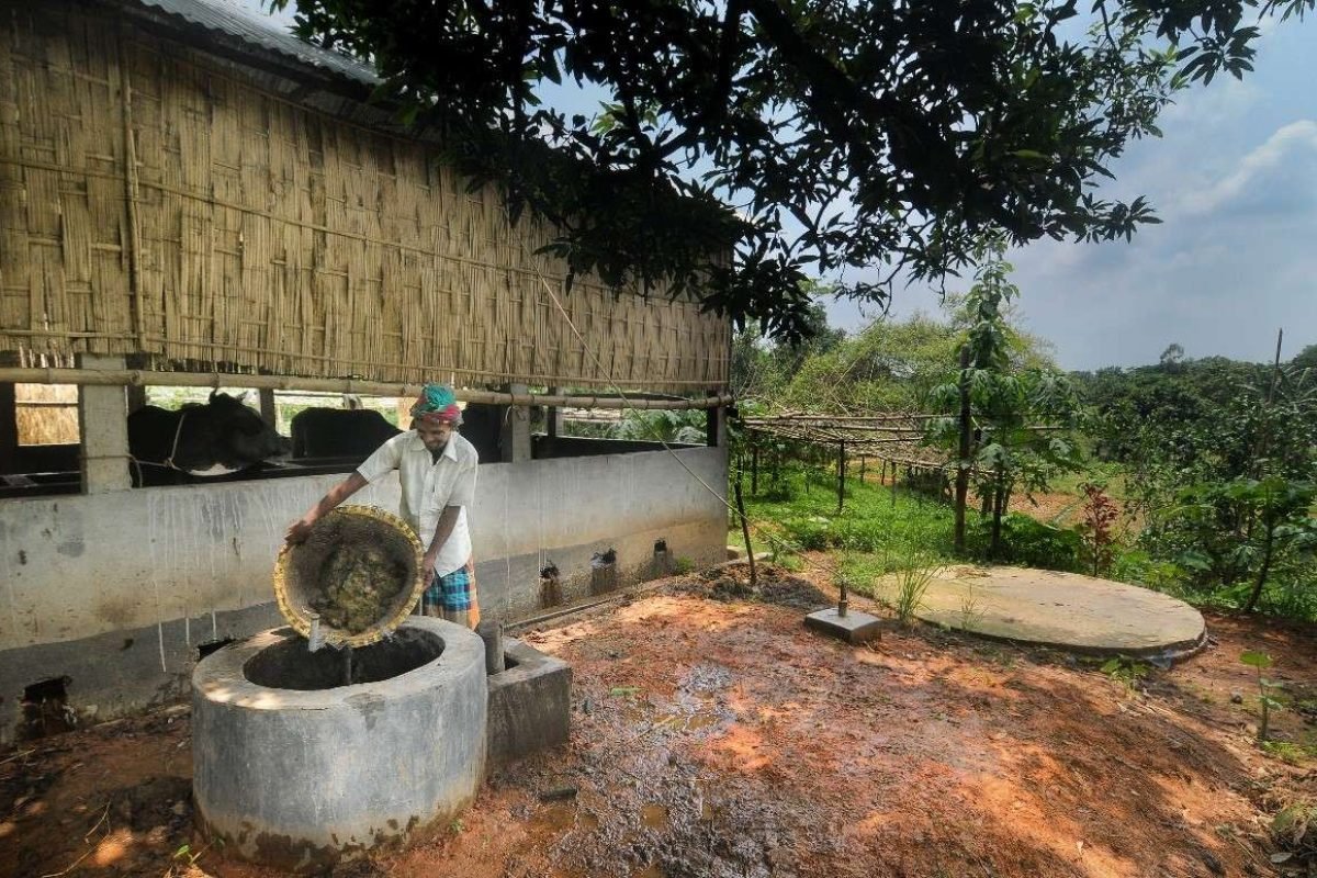 আর্থিক সেবা